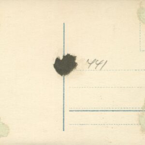 G. Sverdrup 0441 - Bilde 2