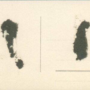G. Sverdrup 0571 - Bilde 2