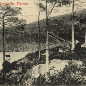 Henrich Loennechen 0033