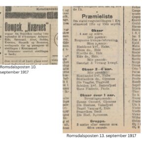 Statskvægutstillingen 1917