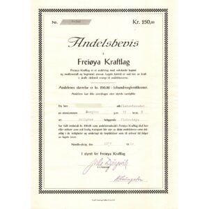 Freiøya Kraftlag B-302, 1960